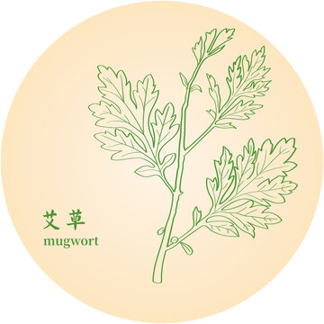 艾草