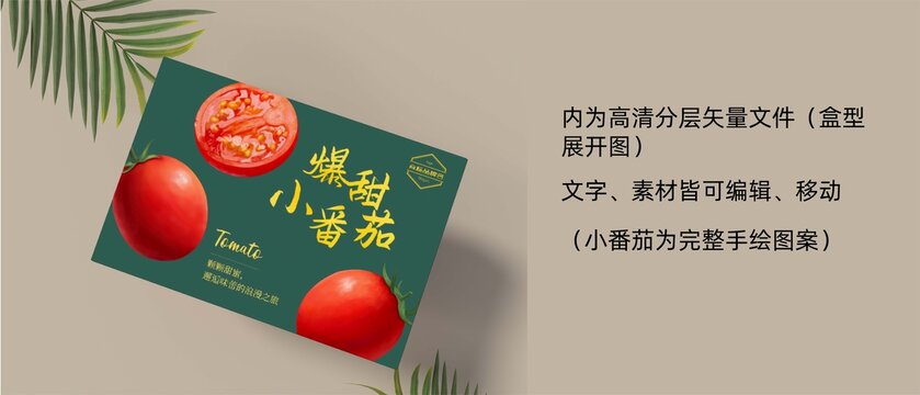 写实风手绘千禧小番茄圣女果包装
