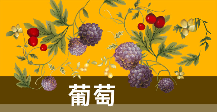 葡萄包装设计