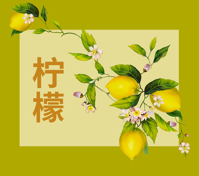 柠檬包装设计