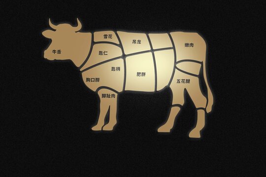 牛矢量