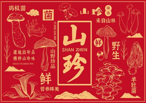 山珍礼盒包装插画