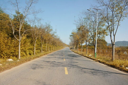 秋天道路