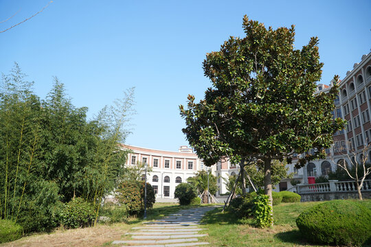 林荫小路