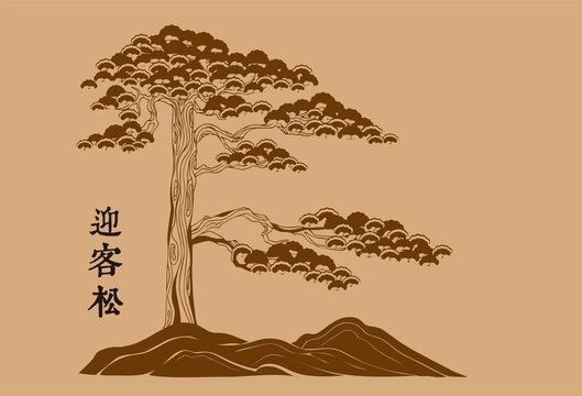 黄山迎客松