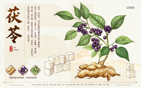 茯苓国潮插画海报