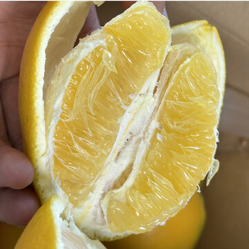 橙子