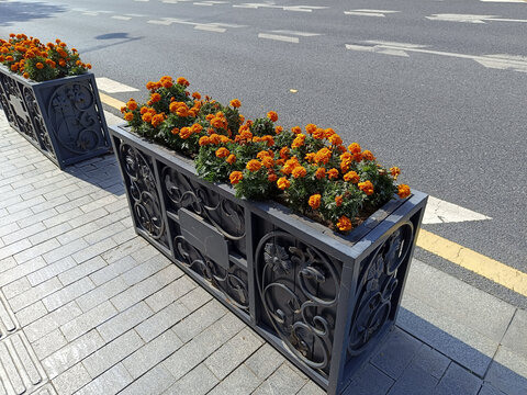 花箱