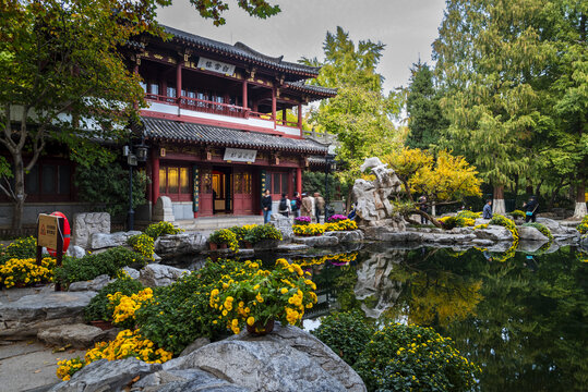 山东济南趵突泉菊展夜景