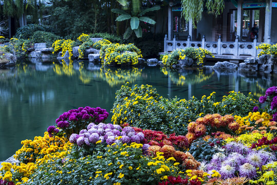 山东济南趵突泉菊展夜景