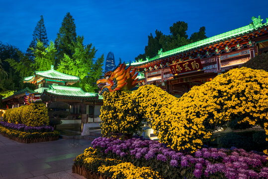 山东济南趵突泉菊展夜景