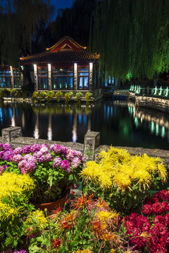 山东济南趵突泉菊展夜景