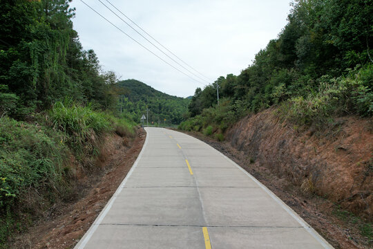 森林公路