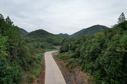 森林公路