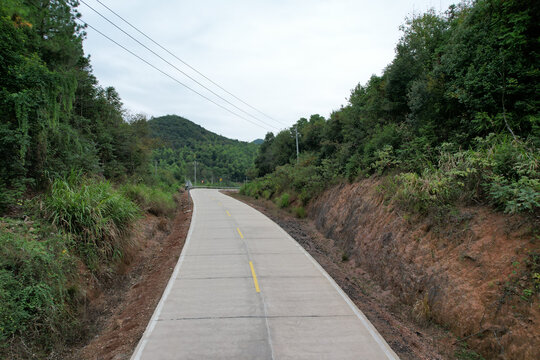 森林公路