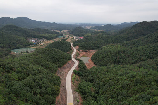 森林公路