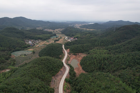 森林公路