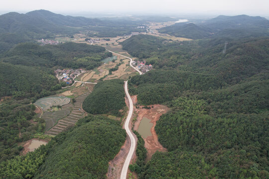 森林公路