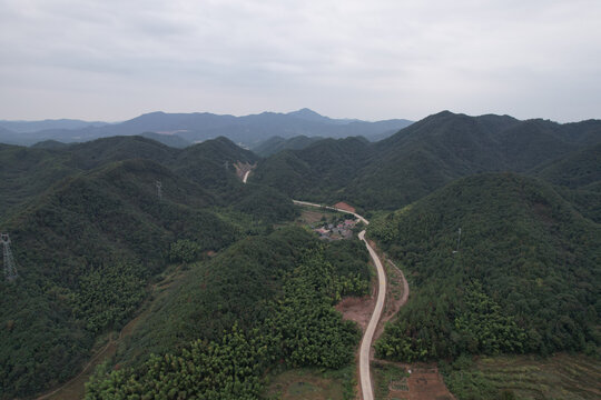 森林公路