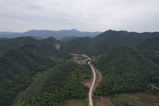 森林公路