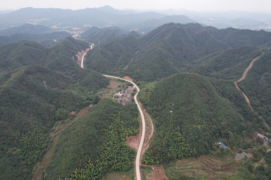 森林公路