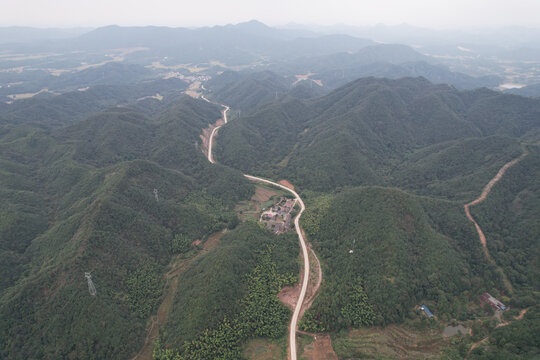 森林公路
