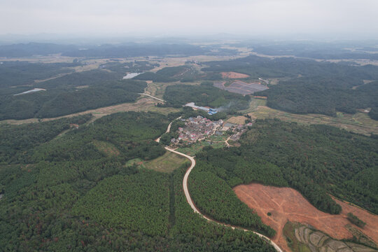 农村