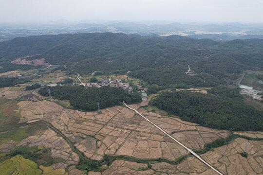 农村