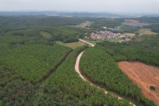 农村