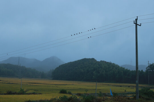 空山新雨后