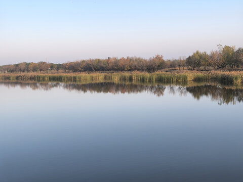 河水倒影