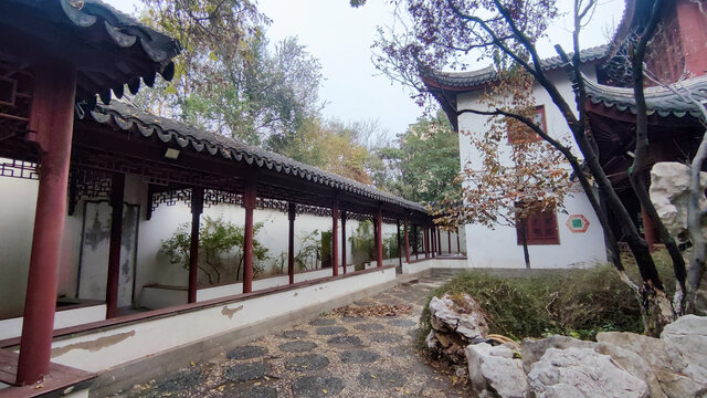 庭院