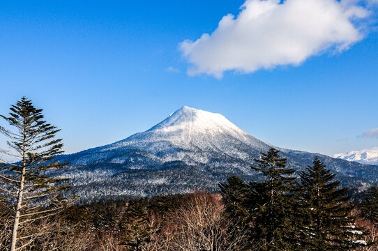 富士山冬景