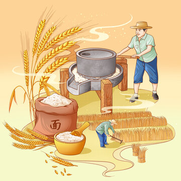 小麦包装插画