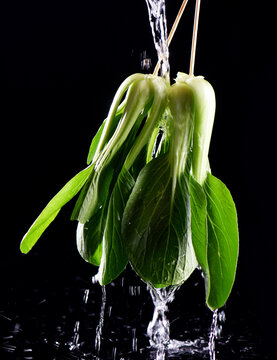 青菜