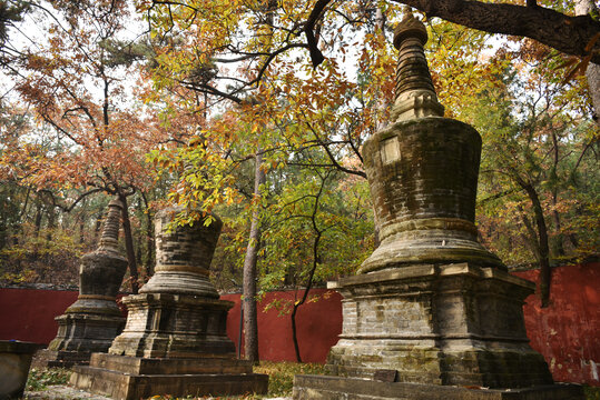北京潭柘寺古代塔林