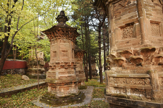 北京潭柘寺古代塔林