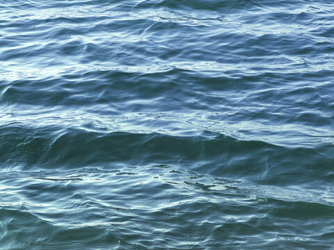 大海