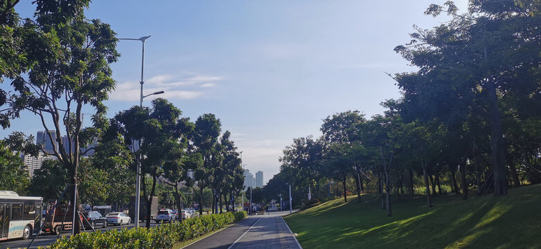城市道路
