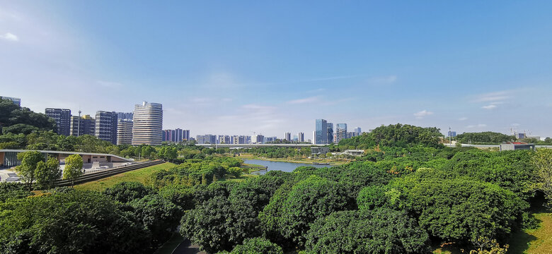 森林与城市风光