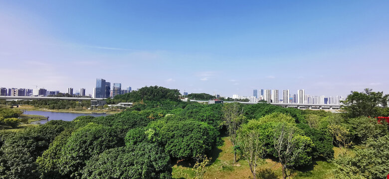 森林与城市风光