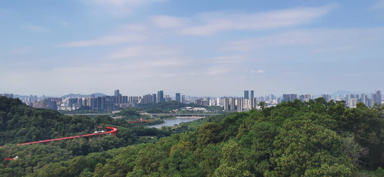 虹桥上远眺城市建筑