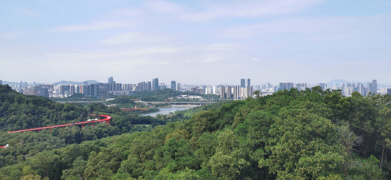 虹桥上远眺城市建筑