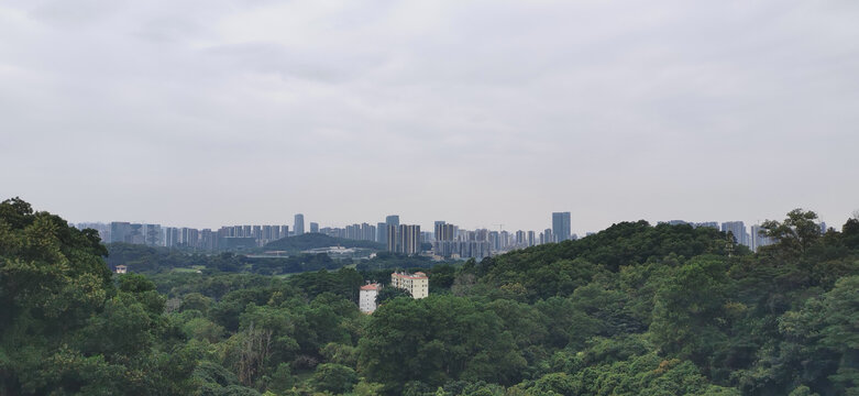 山中远眺城市