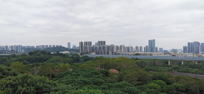 山中远眺城市