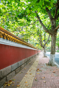 青岛网红墙大学路