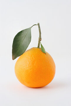 item.picName
