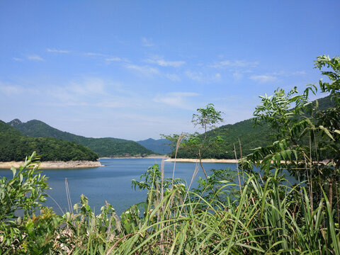 青山绿水