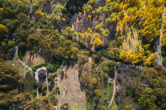 山东济南森林公园航拍秋景