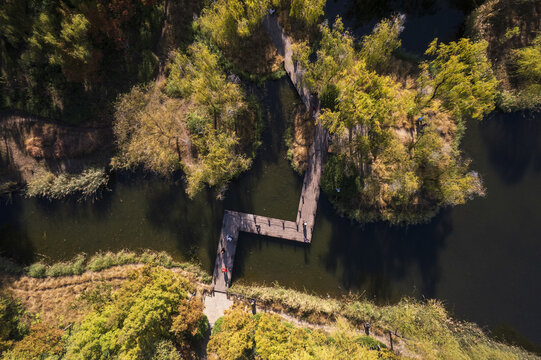 山东济南森林公园航拍秋景